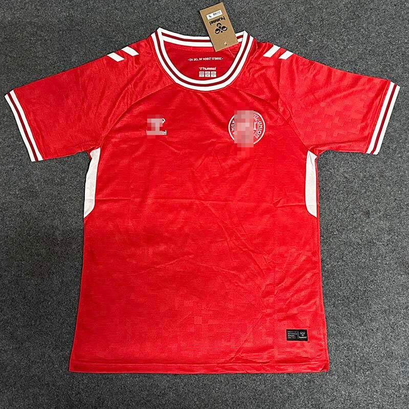 Camiseta Dinamarca 2024 Home